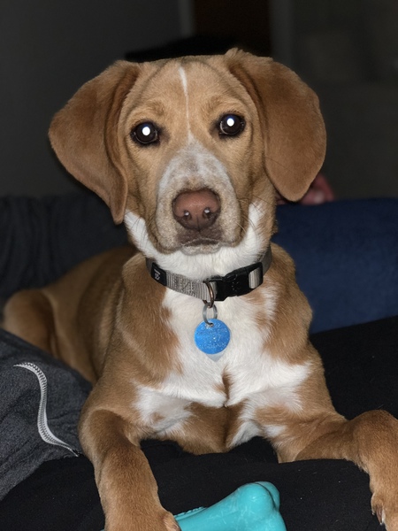 Butters