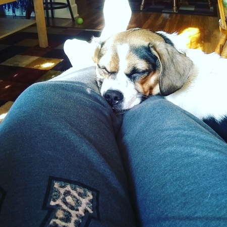 Peanut