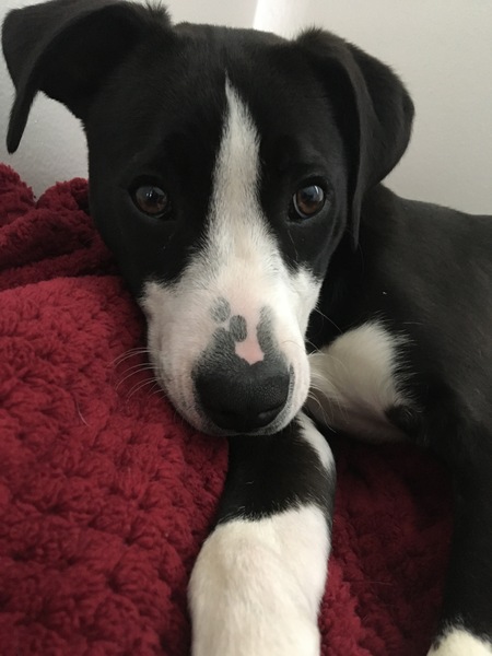 Max