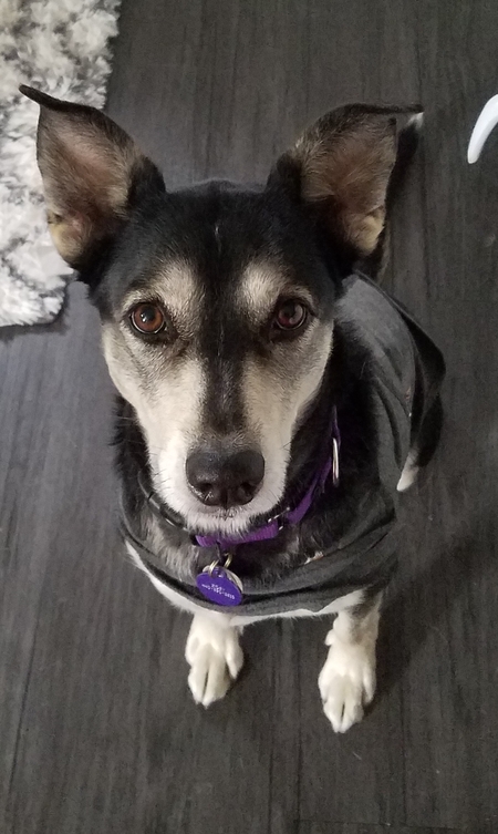 Zoey