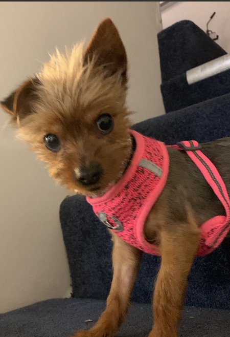 Daisy Weaver