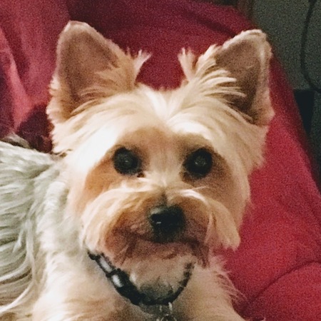 Sammy