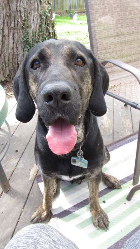 Duke