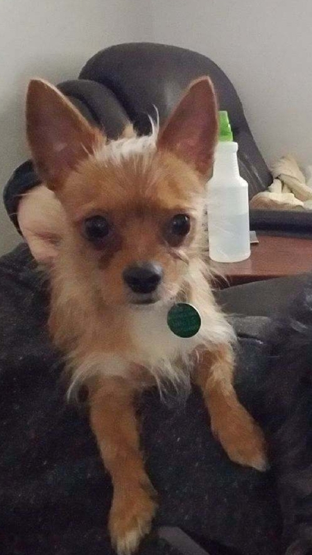 Taco