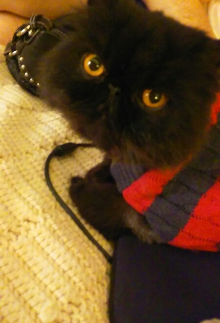 Benny