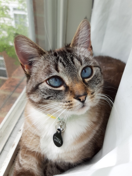 Luna