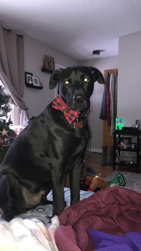 O’Rhyan