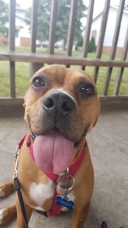 Daisy 