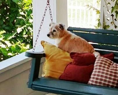 Maggie