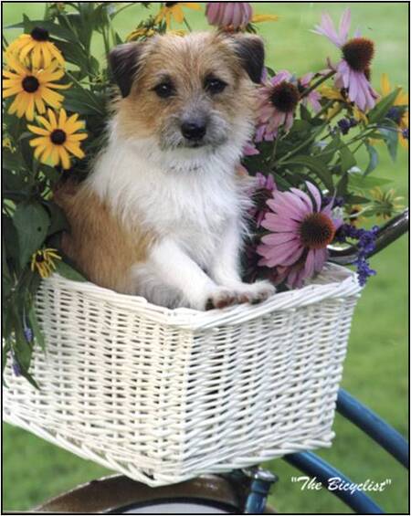 Maggie