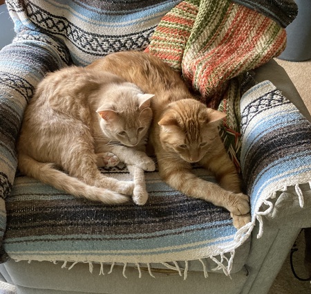 Squeaky and Harold