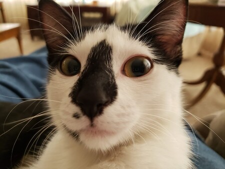 Little Stinker