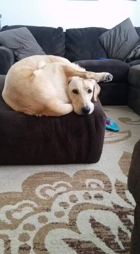 Cooper