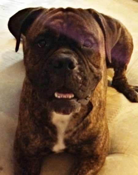 Opie