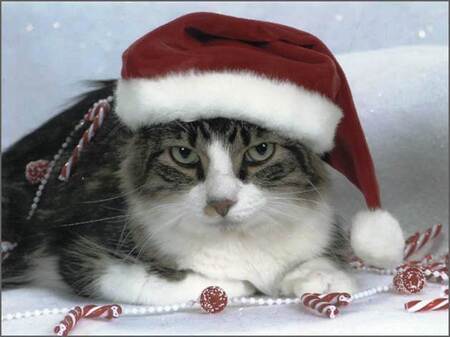 Prancer