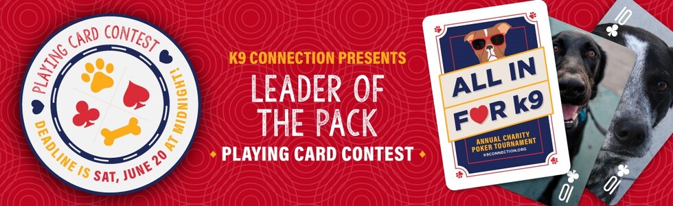 Banner for "Leader of the Pack" Playing Card Contest