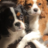 Entry image for Atticus & Catherine