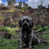 Entry image for Jake