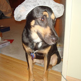 Entry image for Kona (In Memoriam)