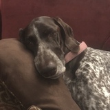 Entry image for Lily