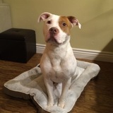Entry image for Zeke