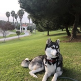 Entry image for Chat