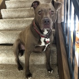 Entry image for Zoe