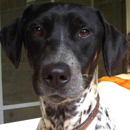Entry image for Wilson (In Memoriam). Clicking this image will show a larger photo
