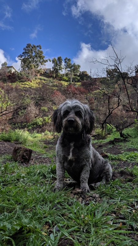 Entry image for Jake. Clicking this image will show a larger photo