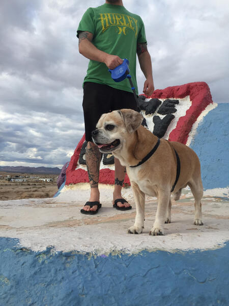 Entry image for Dexter (In Memoriam). Clicking this image will show a larger photo