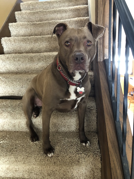Entry image for Zoe. Clicking this image will show a larger photo