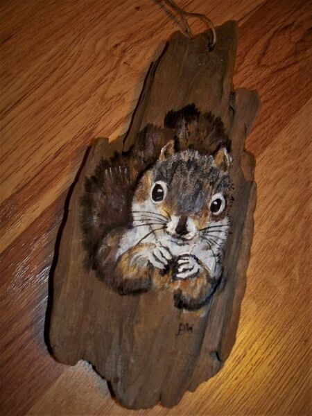 Gray Squirrel on Driftwood
