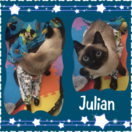 Julian