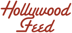 https://www.hollywoodfeed.com/