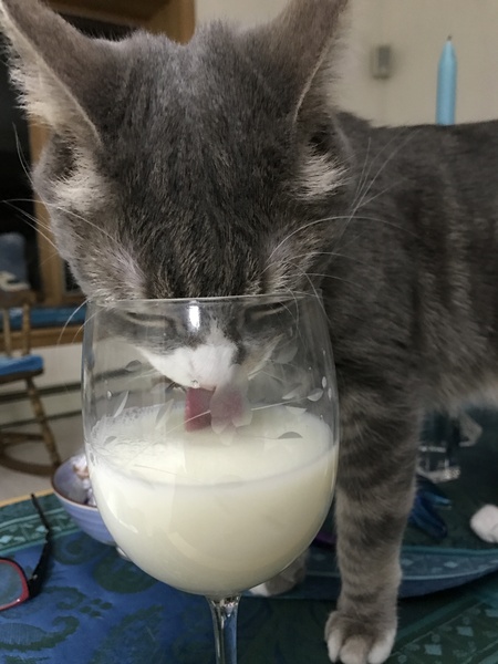 Mariah / No spilled milk