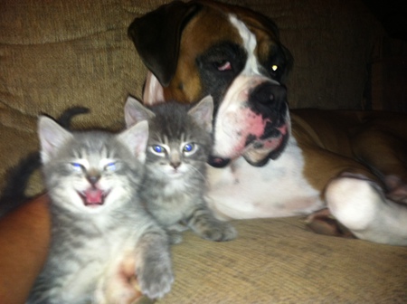 Mike,Marley and Dallas