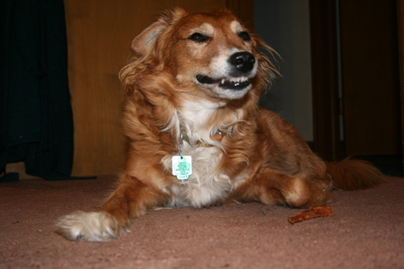 Brandy
