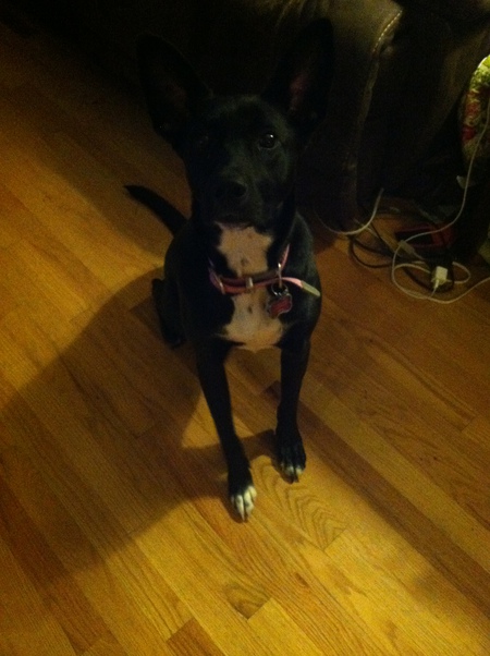 Abby