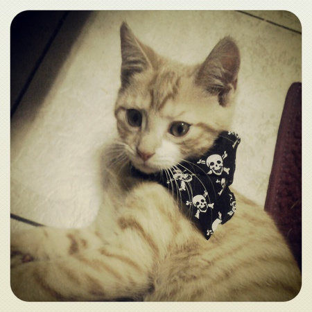 Axle