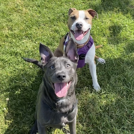 Lottie and Violet 