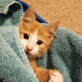 Entry image for Myles