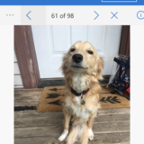 Entry image for Stuey