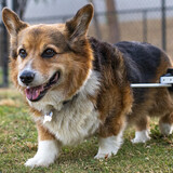 Entry image for Porter