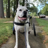 Entry image for Chance