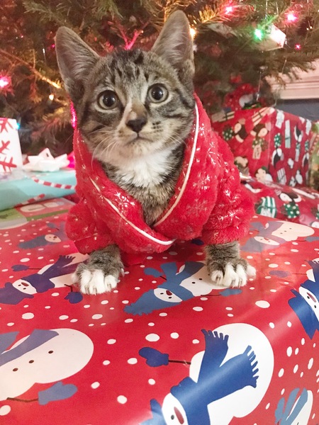 Entry image for Eren. Clicking this image will show a larger photo