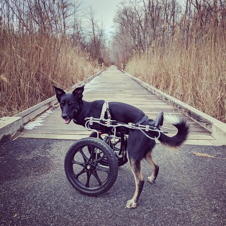 Entry image for Austin. Clicking this image will show a larger photo