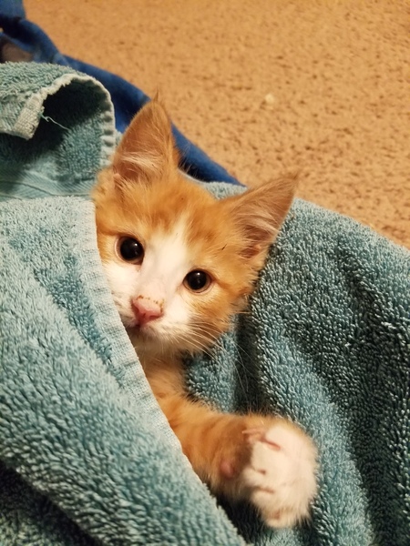 Entry image for Myles. Clicking this image will show a larger photo