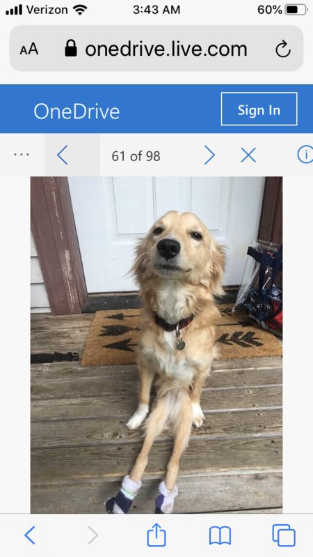 Entry image for Stuey. Clicking this image will show a larger photo