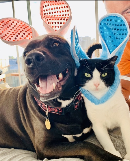 Luna & Oliver 
