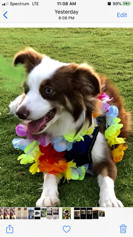 Ku’uipo (My Sweetheart)